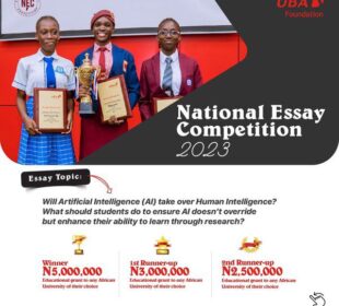 UBA Foundation Essay Competition past winners